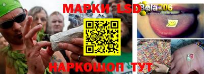 ГАЛЛЮЦИНОГЕННЫЕ ГРИБЫ Шелехов