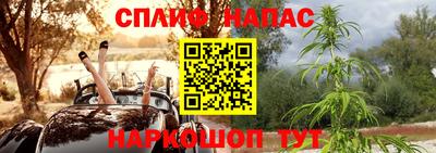 шишки Шахты