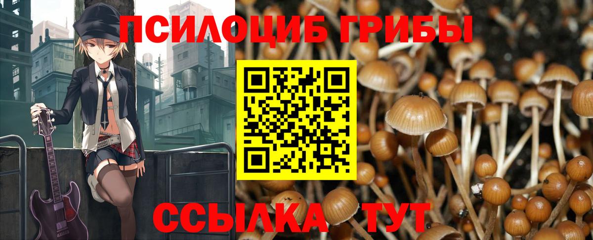 Белорецк  Псилоцибиновые грибы Psilocybe  хочу   Вход с VPN 